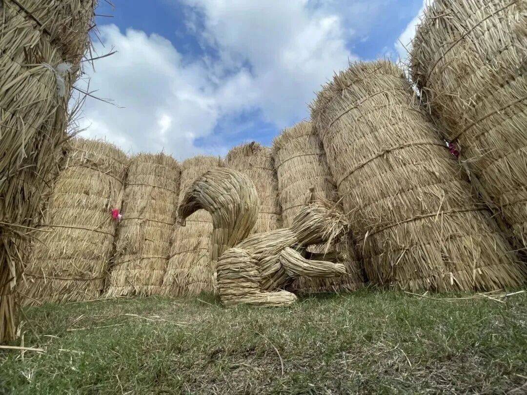 有奖、徐霞客NPC…秋游佘山新玩法还有超值亲子卡首发PG电子麻将胡了2GO享松江